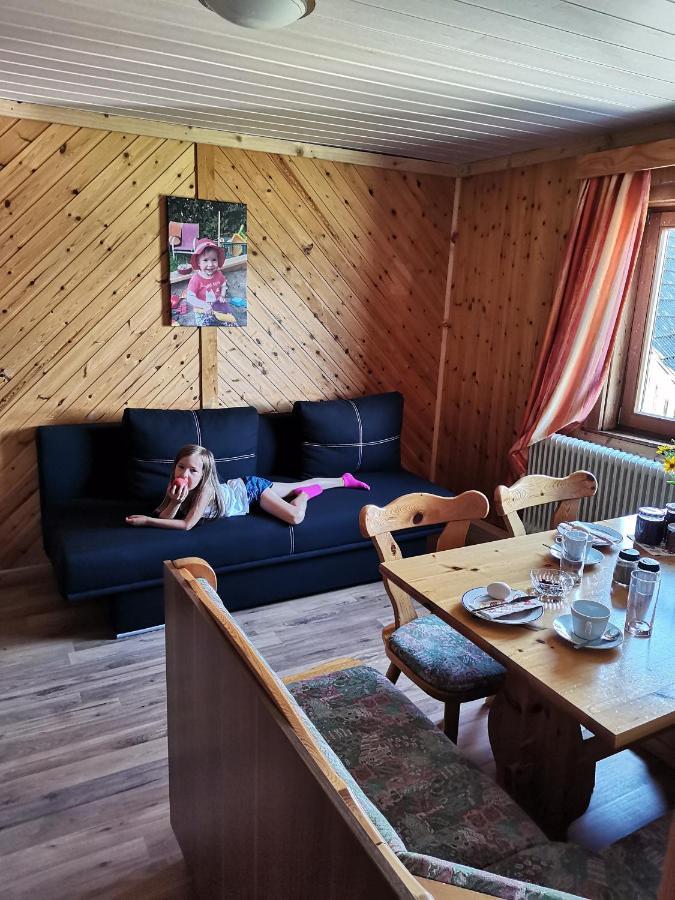 Rainerhof Apartman Murau Kültér fotó