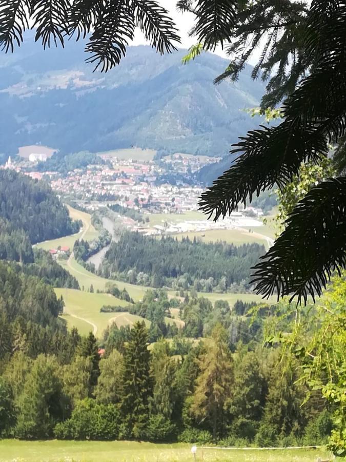 Rainerhof Apartman Murau Kültér fotó